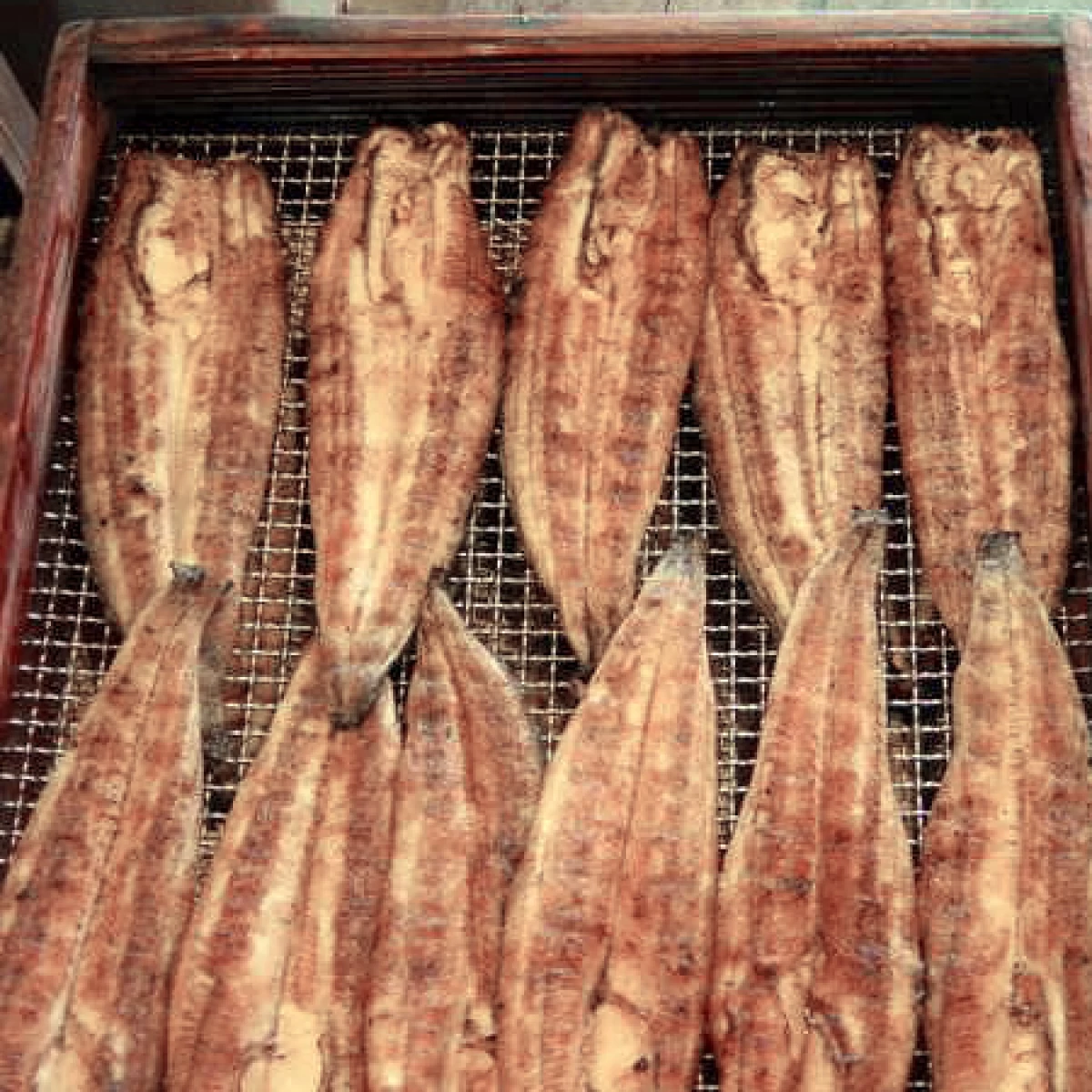 うなぎの炭火焼き白焼き (3200円/5本)